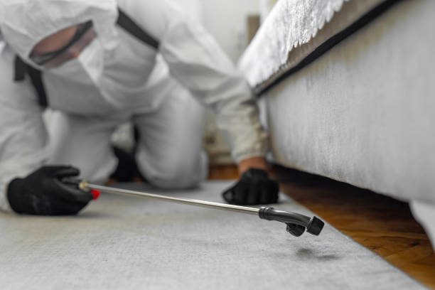 Professional Mosquito Control technician working in Dover, FL