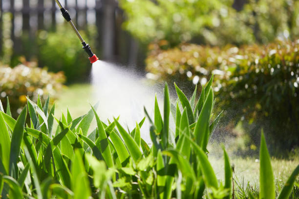 24/7 Emergency Mosquito Control experts in Dover, FL