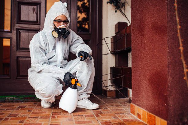 Reliable Mosquito Control contractor in Dover, FL by Nex Pest Control