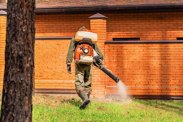 Trusted Ant Control service in Dover, FL - Nex Pest Control